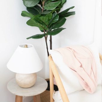 Sample Product Five - Image 3